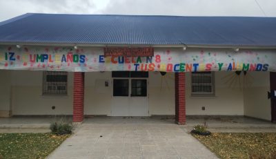 escuela 81