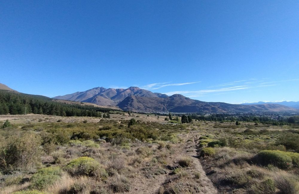 esquel pan (1)
