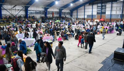 expo invierno