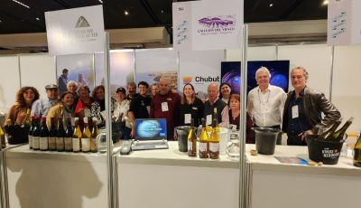 expo vino