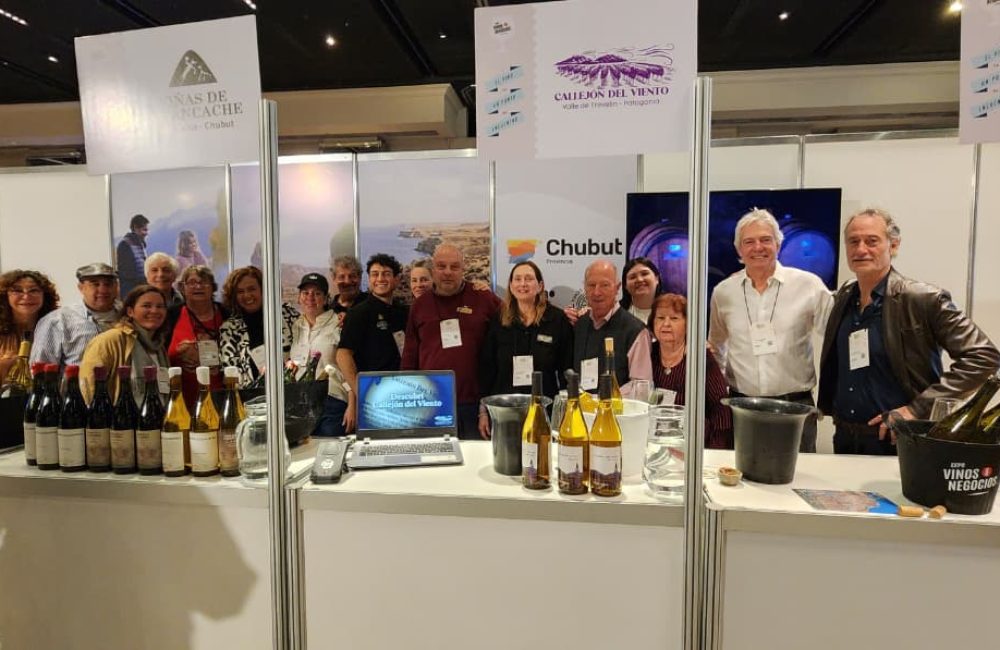 expo vino
