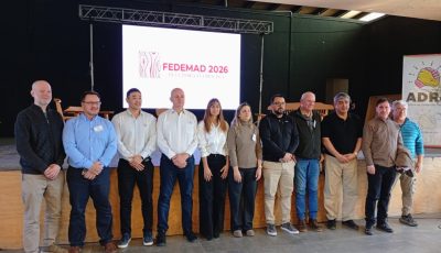 fedemad 1
