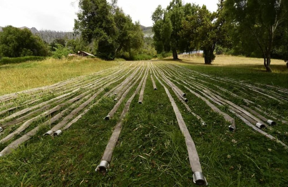 fin incendio pto cafe