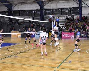 final voley 2