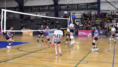 final voley 2