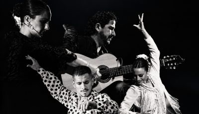flamenco vivo1