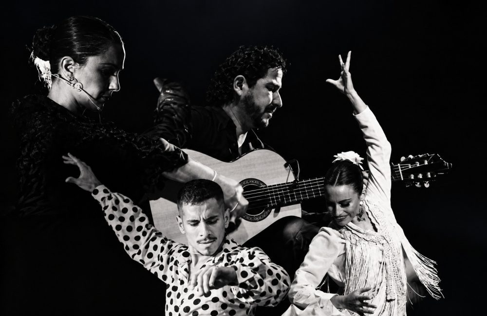 flamenco vivo1