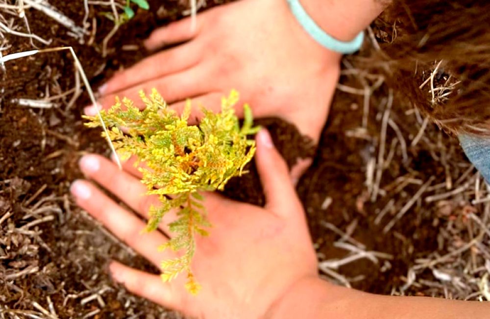 foto vivero niños del lago