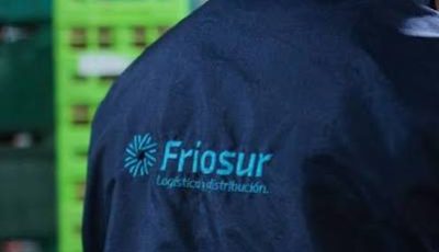 friosur