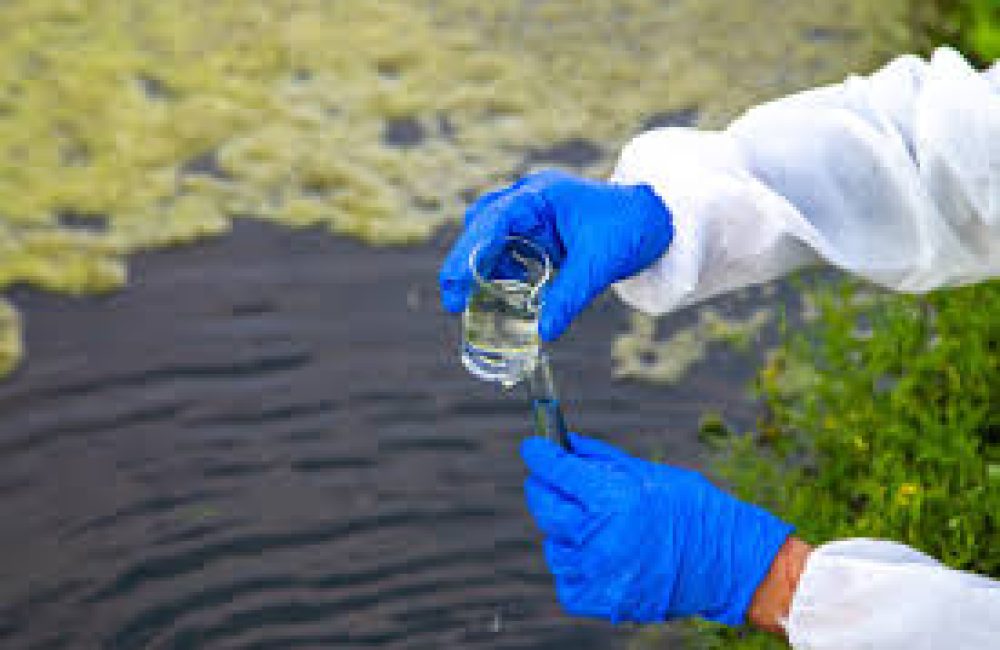 fundacion williams 02