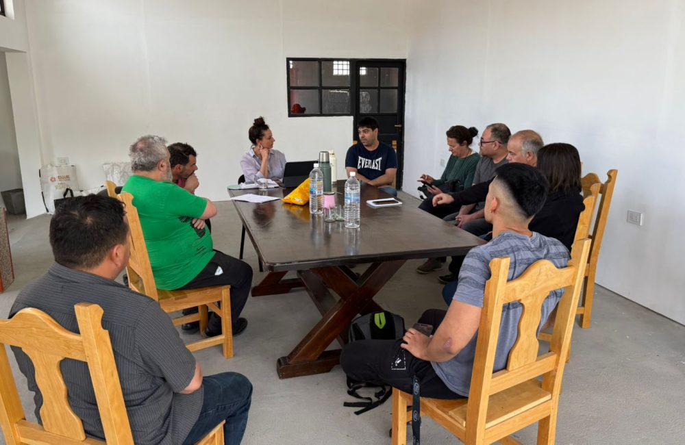 grandes generadores 1