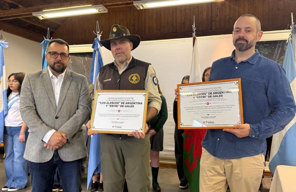 hermanamiento pnla taccetta