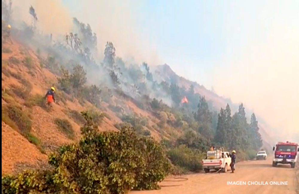 imagen cholila online ruta 71 villa lago rivadavia