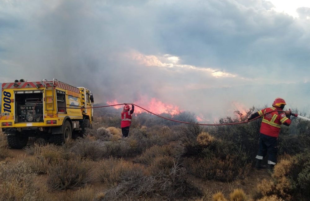 incendio arroyo pescado 4