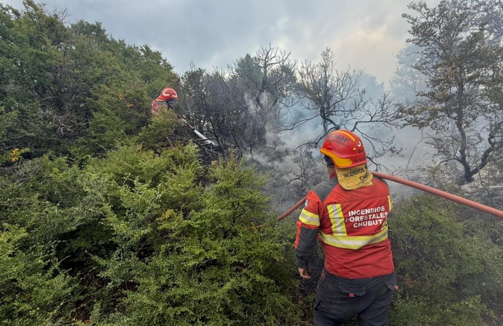 incendio intervencion municipal 1
