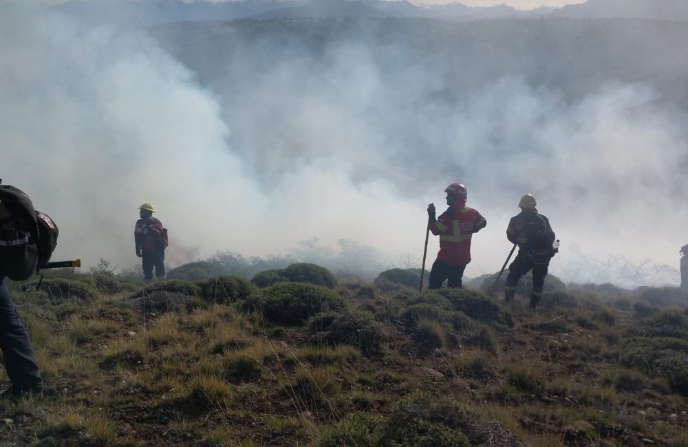 incendio la zeta 4