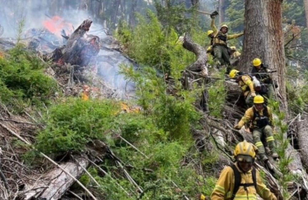incendio lago menendez 4
