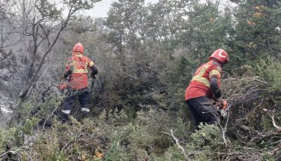 incendio municipio 1