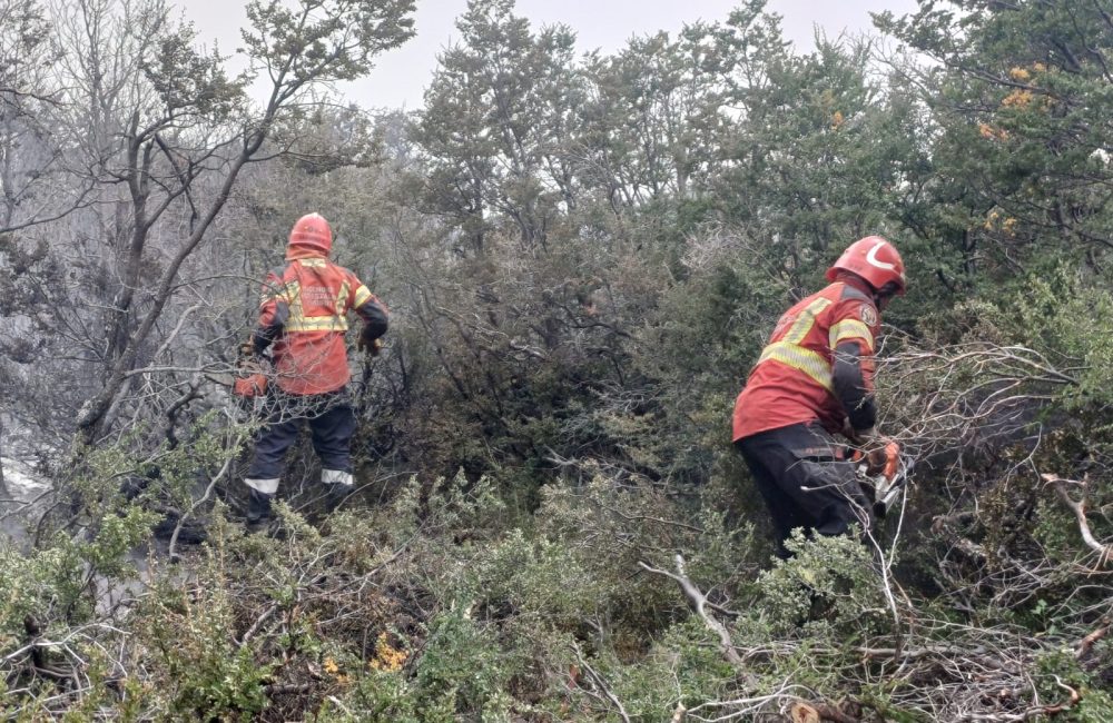 incendio municipio 1