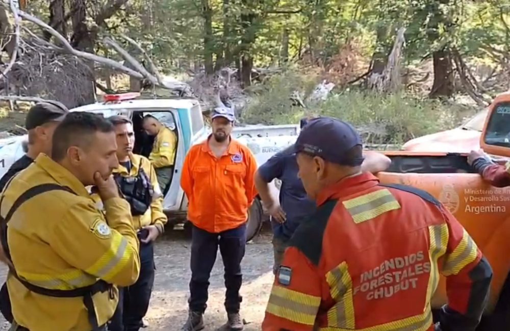 incendio municipio 3