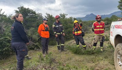 incendio municipio 5