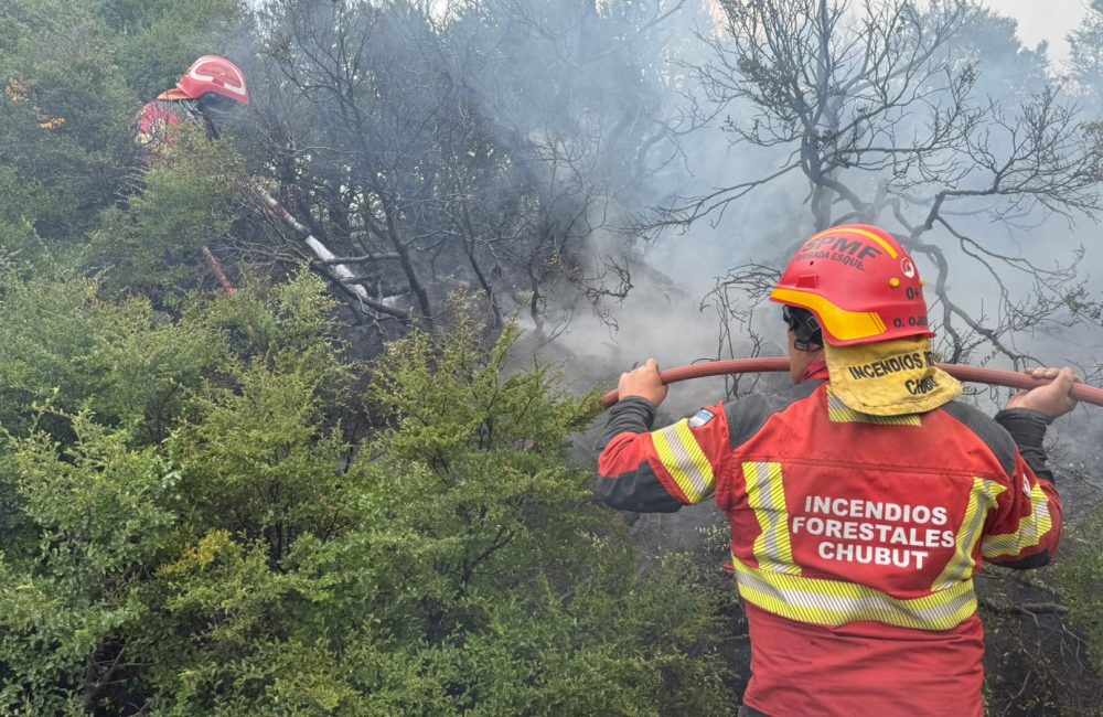 incendio municipio 6