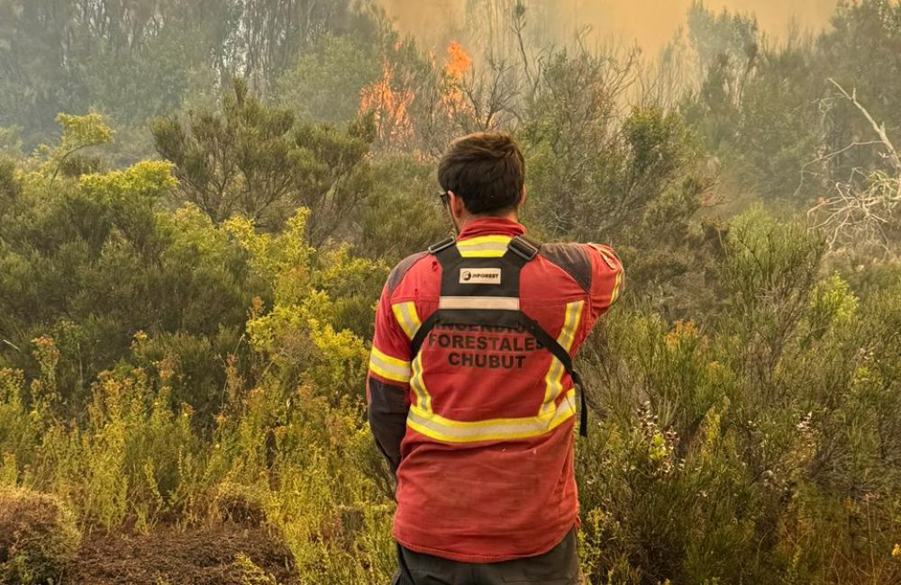 incendio pnla 03.02