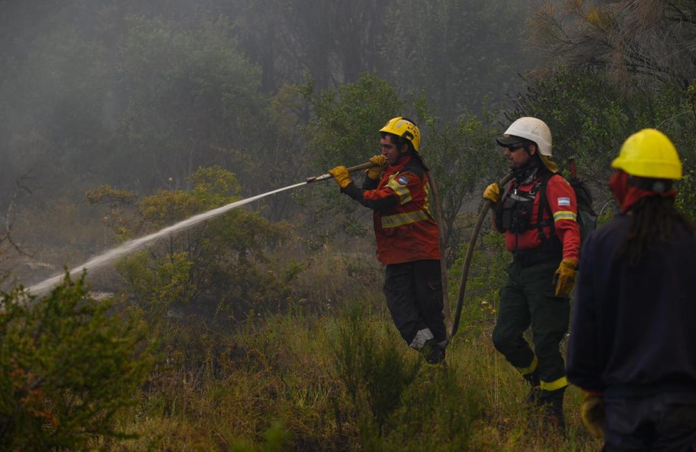 incendio pnla 04-02