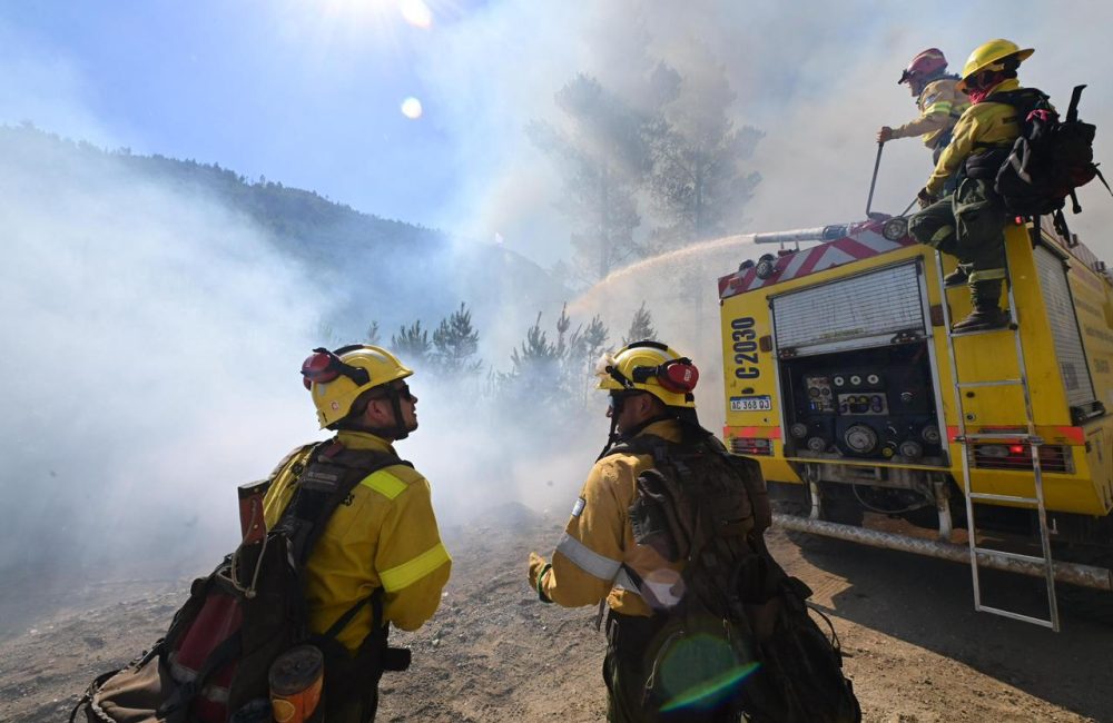 incendio pnla 05-02 3