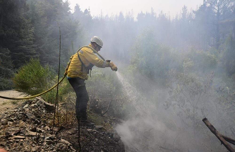 incendio pnla 09-02 4