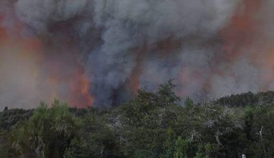 incendio pnla 1