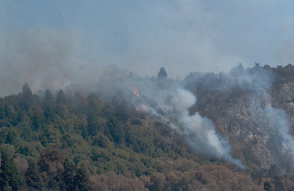 incendio pnla 20-01-26 8