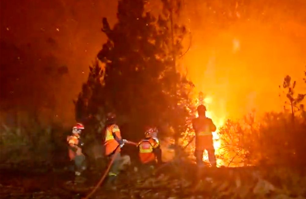 incendio pnla lago menendez bt