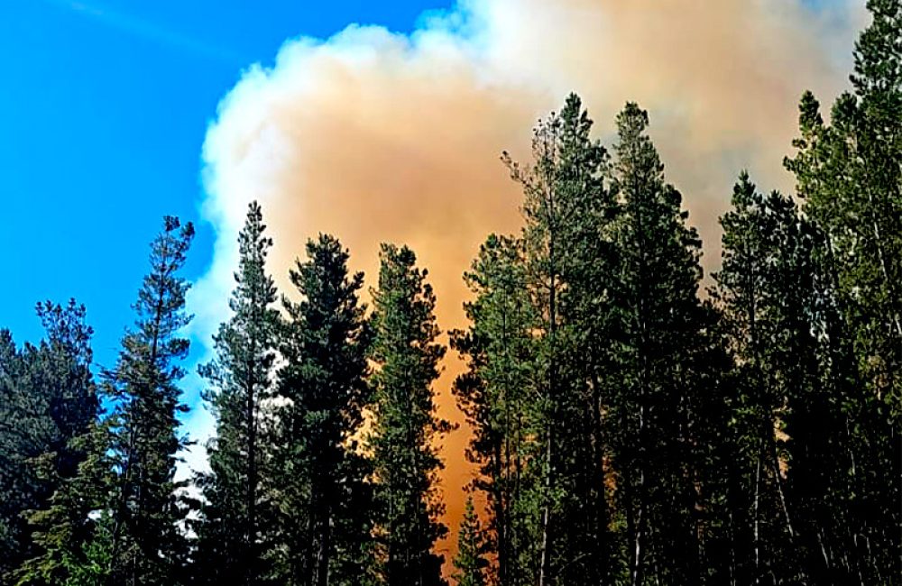 incendio pnla lago menendez