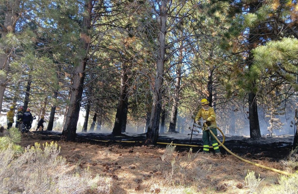 incendio rnu la zeta (4)