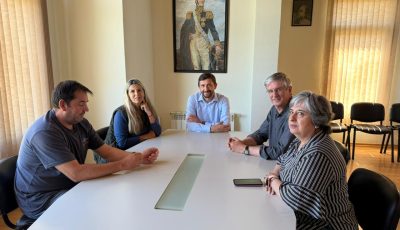 ingram con diputados