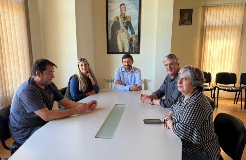 ingram con diputados