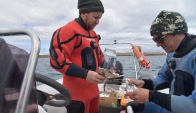investigacion marina