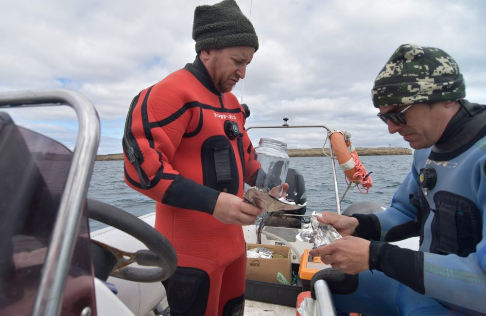 investigacion marina