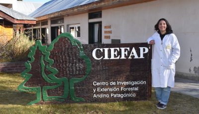 investigadora ciefap