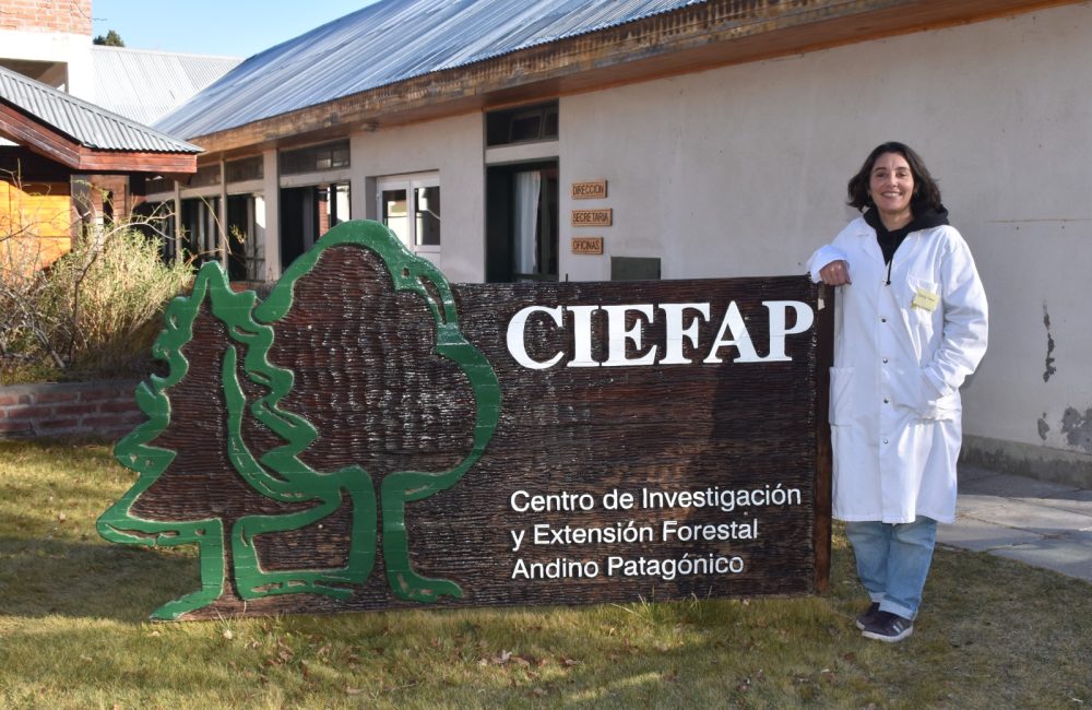 investigadora ciefap