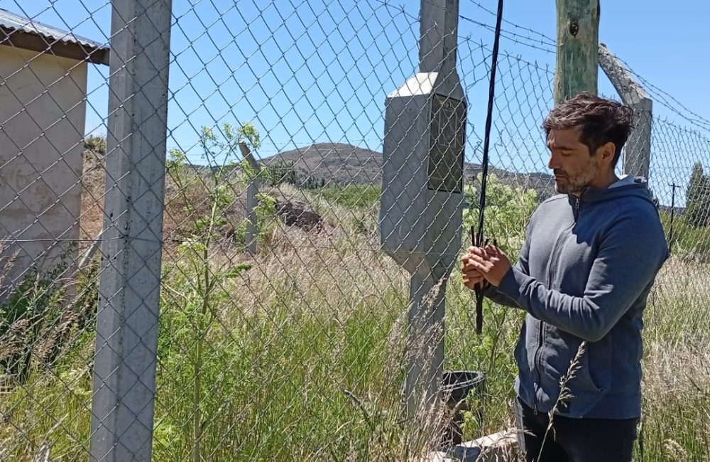 ivan pereira robo en valle chico