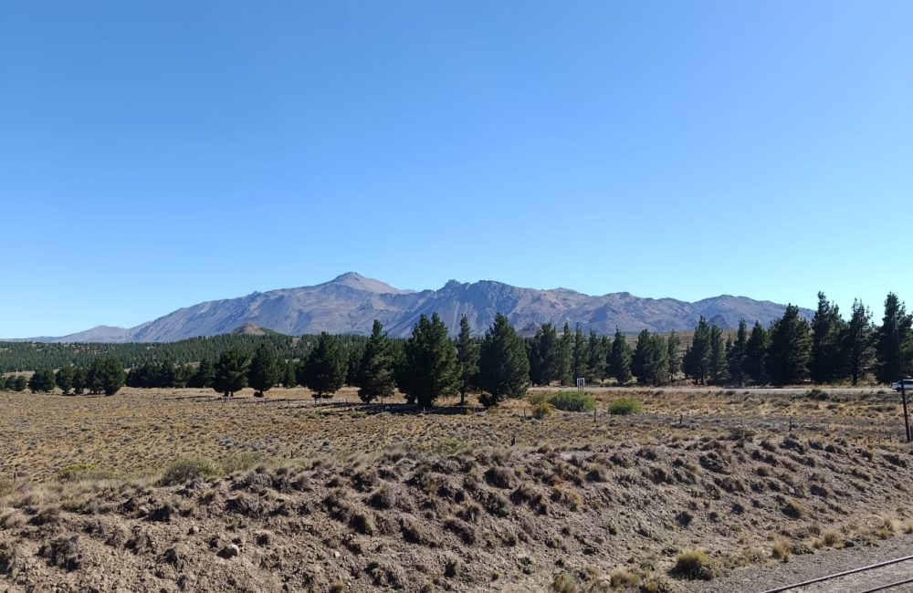 la trochita esquel nahuelpan (6)