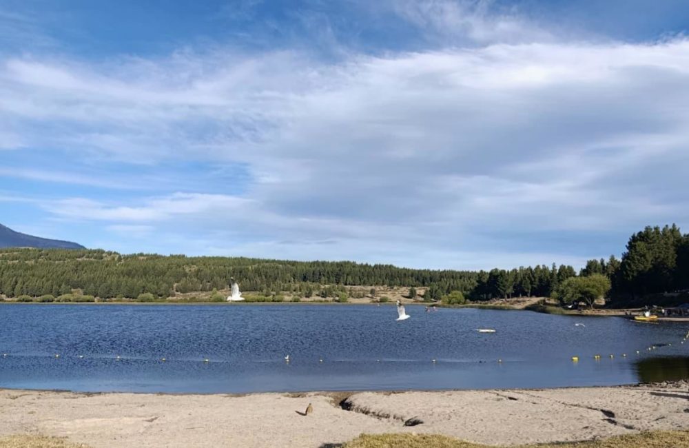 la zeta febrero 2026 (5)