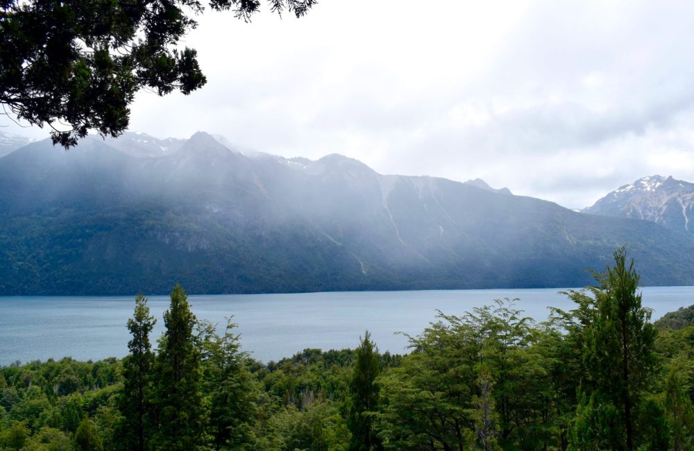 lago 1
