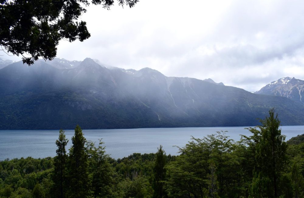 lago aq