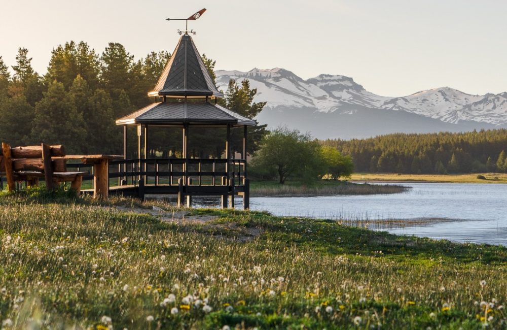 laguna la zeta