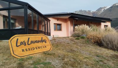 las lavandas (7)