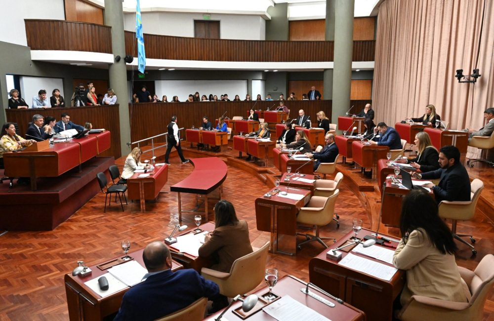 legislatura chubut 1
