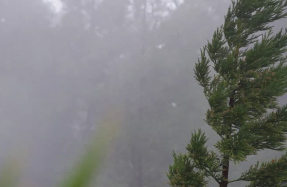 lluvia y viento 1